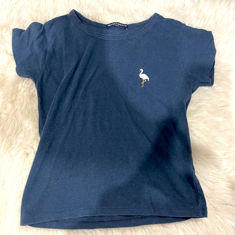 lightly used brandy melville tee